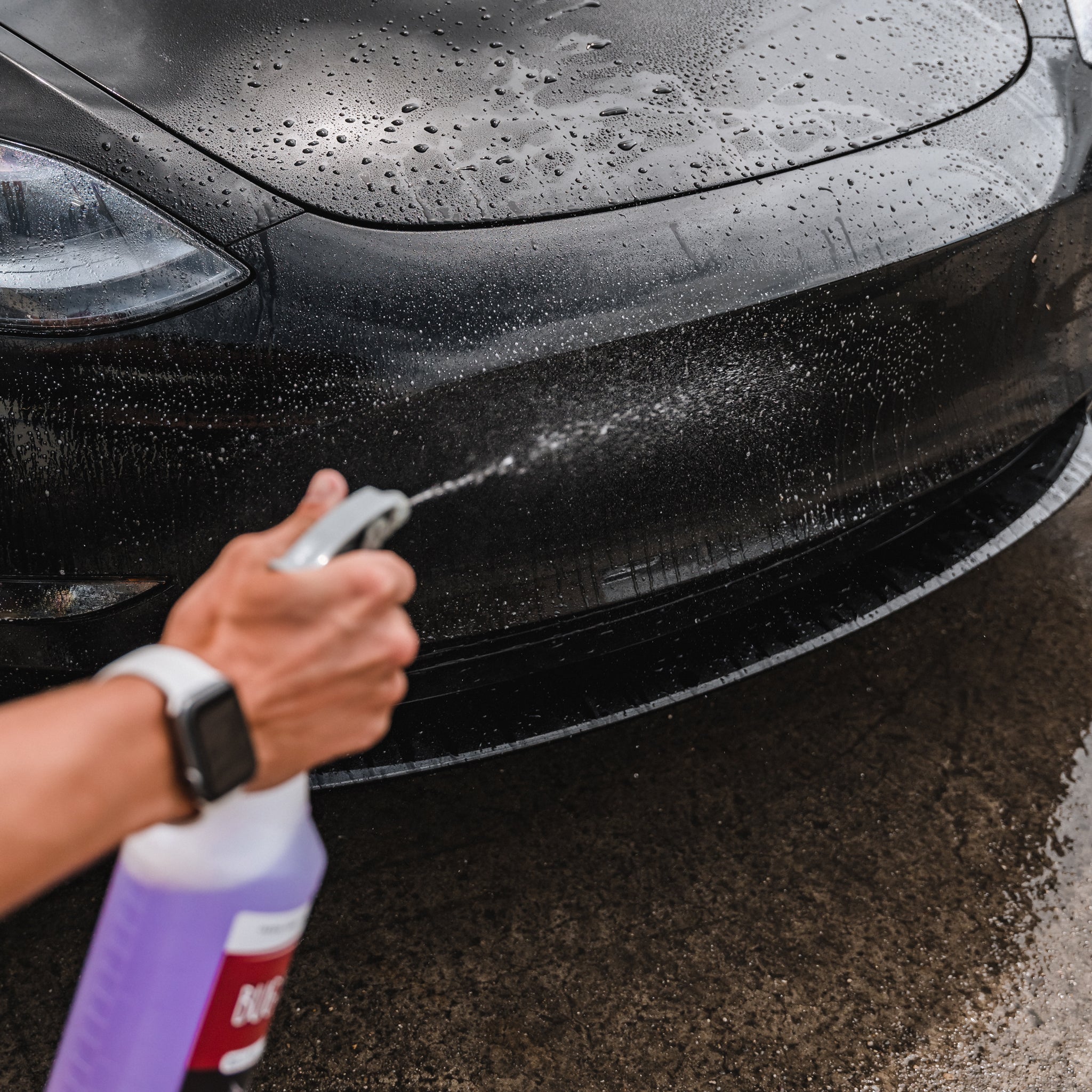 Bug Remover Kit